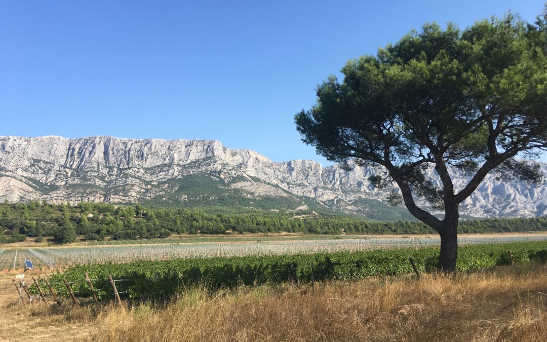 Candidature spontanée